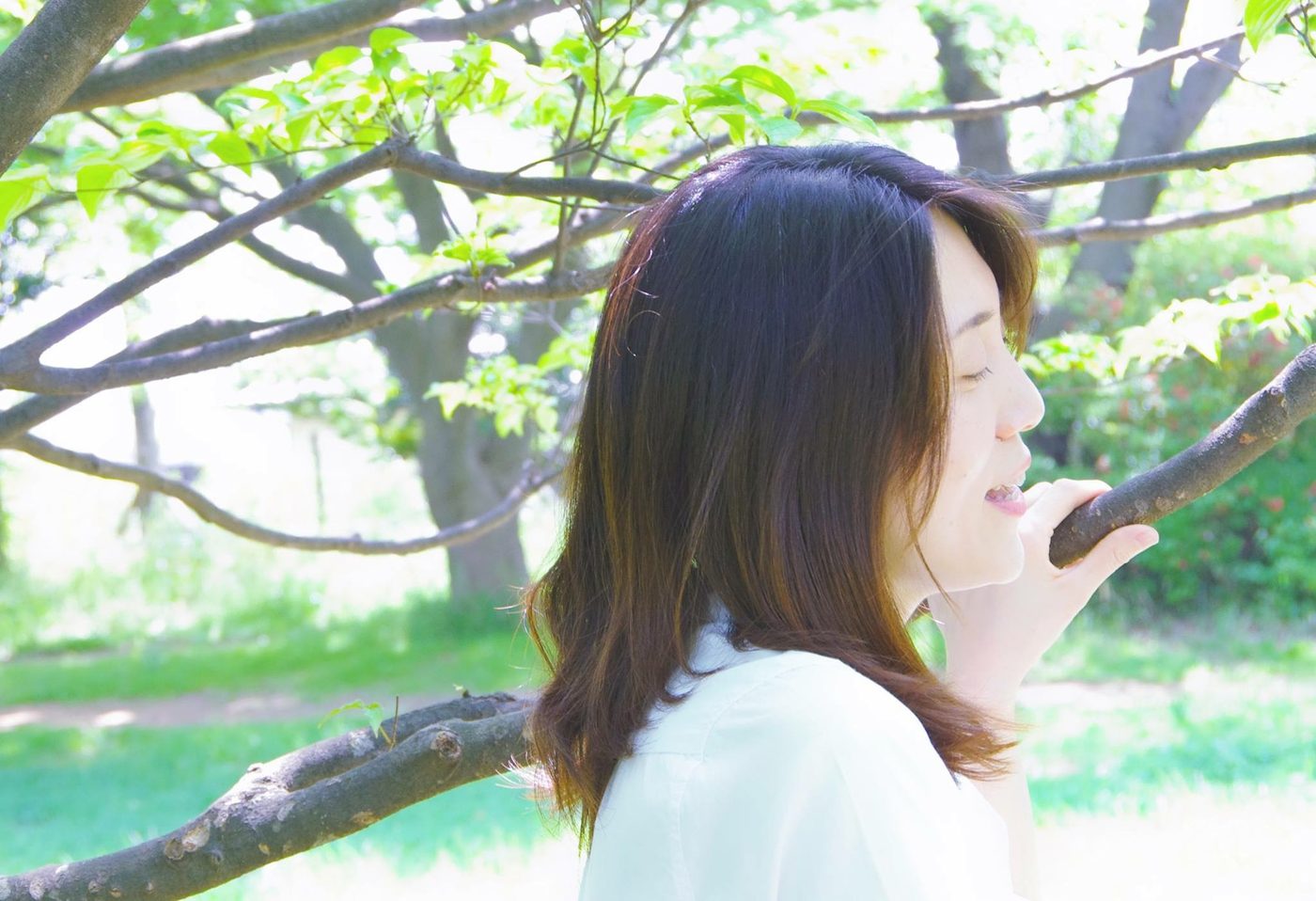 ボイスヒーリング — 木の下で歌うMirei